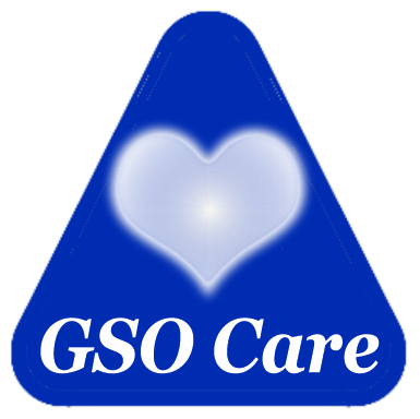 GSO Care Aged Care Software - Innovative, Exceptional and Seminal.